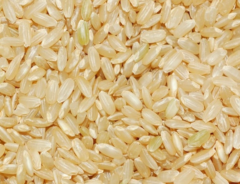 Karnataka's Anna Bagya scheme the center refused to give Rice