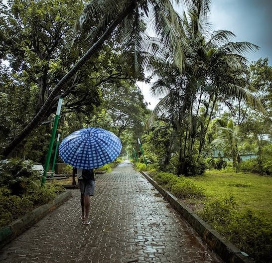 Rain will be Normal in July says IMD