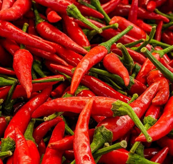 Green chili price hike in the country, know more
