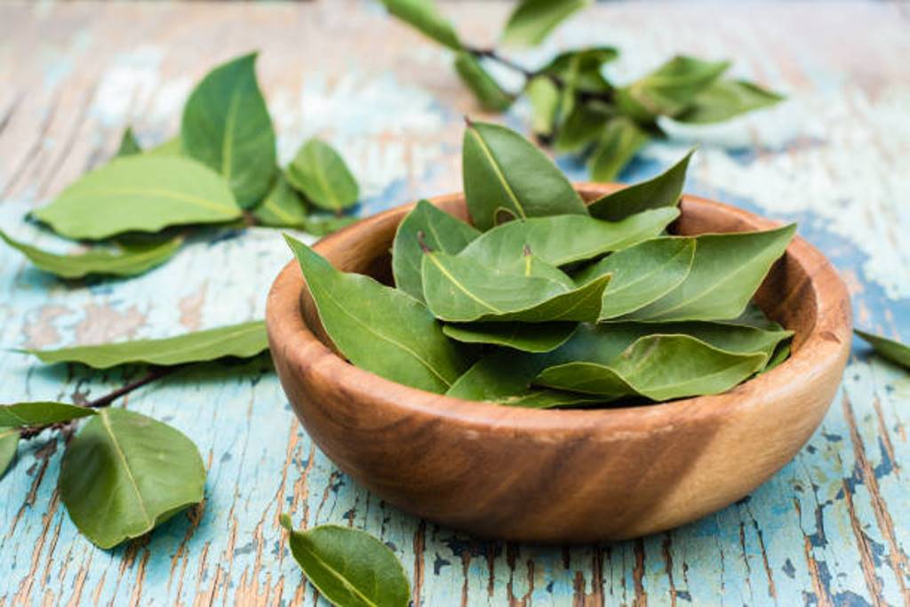 Health benefits of Bay leaf