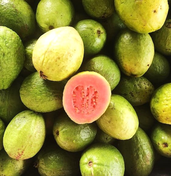 Guava fruits is good for maintaining blood sugar