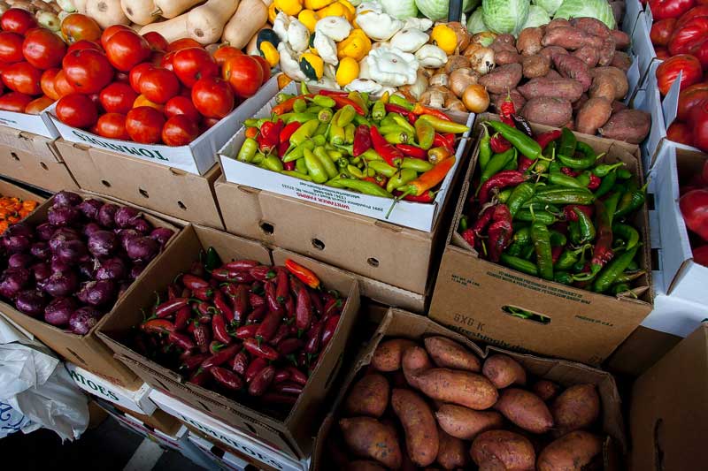 Market News August 12, 2023 - Cucumber, Carrot, Colocassia