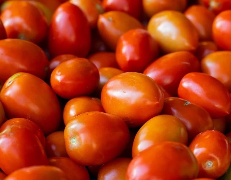 Tomato shortage and price hike in the country