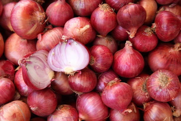 Center procures 3 Lakh Onion for the buffer stock