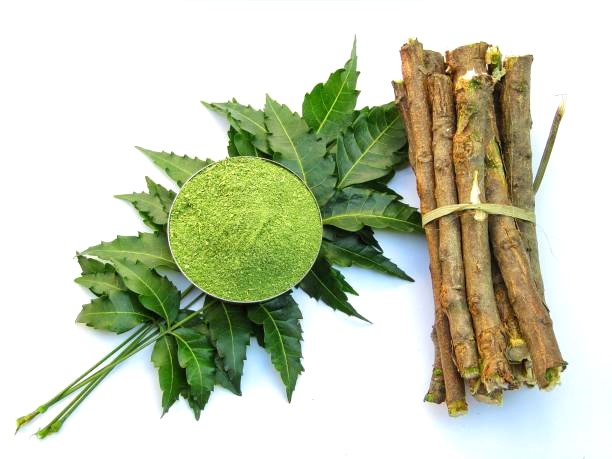 Neem leaves for curing skin diseases, dandruff and more