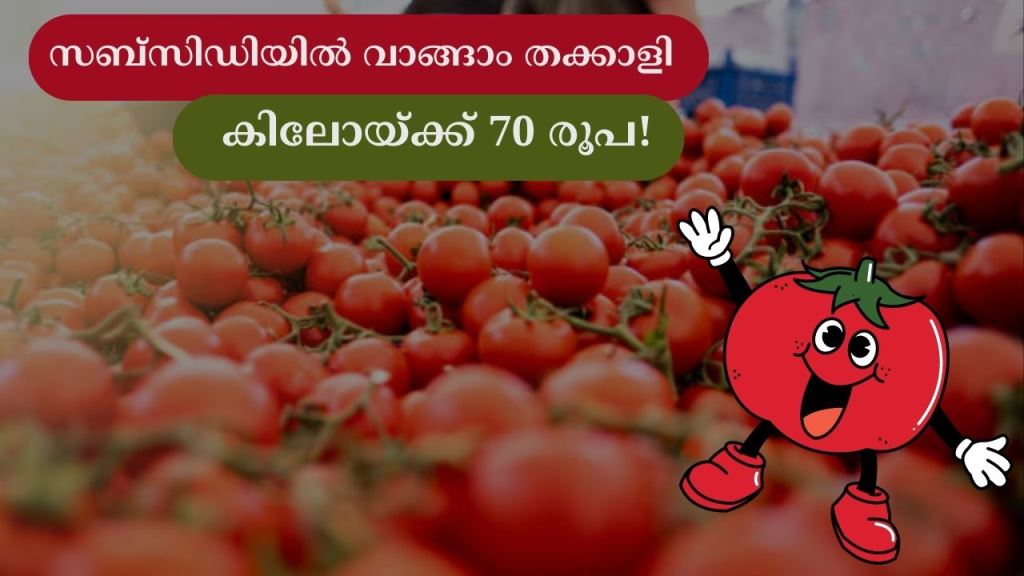 Tomato price reduced to Rs 70; The subsidy is effective from today