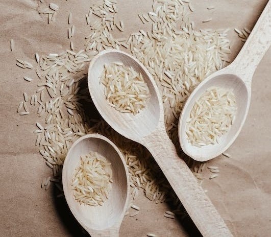 Government of India bans basmati rice export