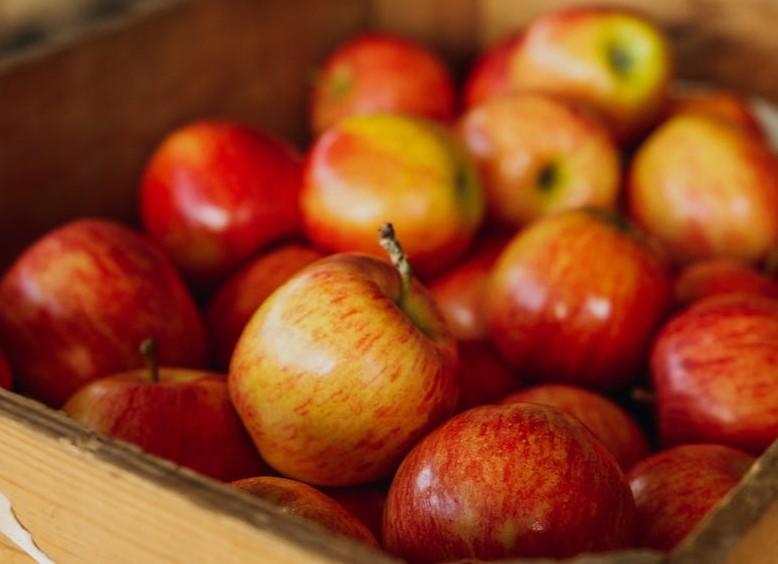 Apple scarcity will happen soon, heavy rain affected apple production