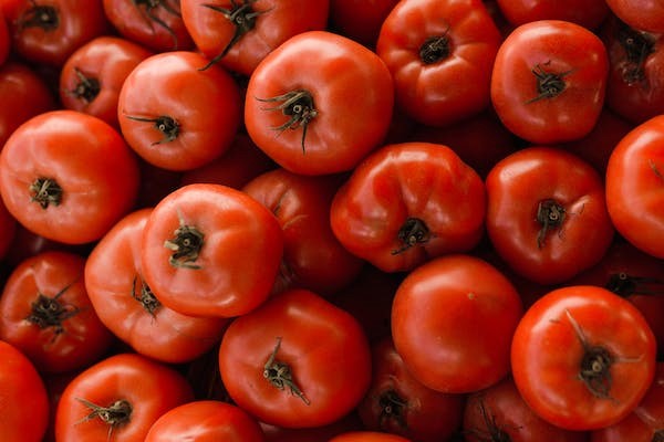 Tomato price will increasing rapidly in the country