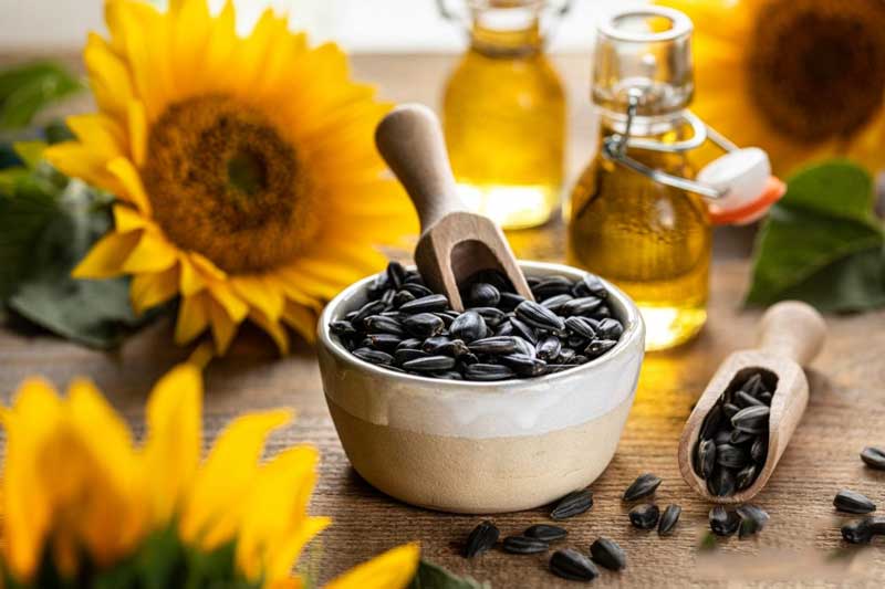 These are the benefits of including sunflower seeds in your daily diet!