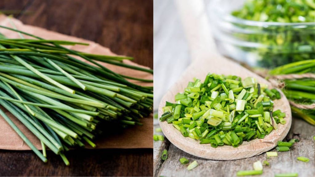 Chives for skin, health and food