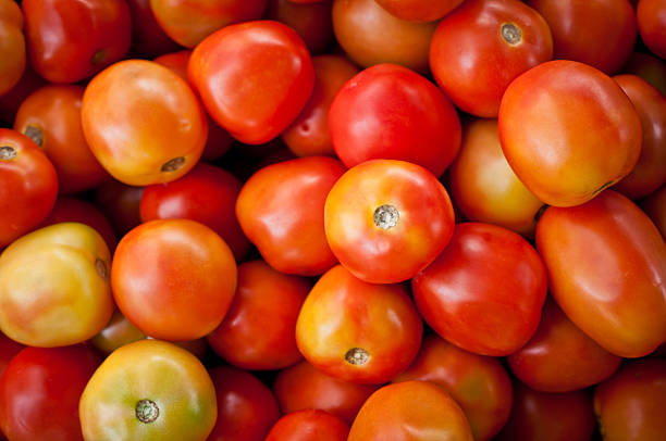 Rain, and less tomato availability are the major cause of Tomato price hike says finance minister