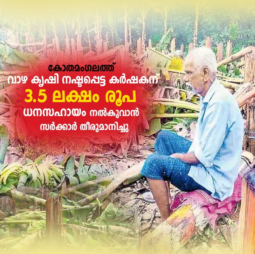 തോമസ് കൃഷി ചെയ്തിരുന്ന 406 വാഴകളാണ് മുന്നറിയിപ്പൊന്നുമില്ലാതെ വെട്ടി നശിപ്പിക്കപ്പെട്ടത്