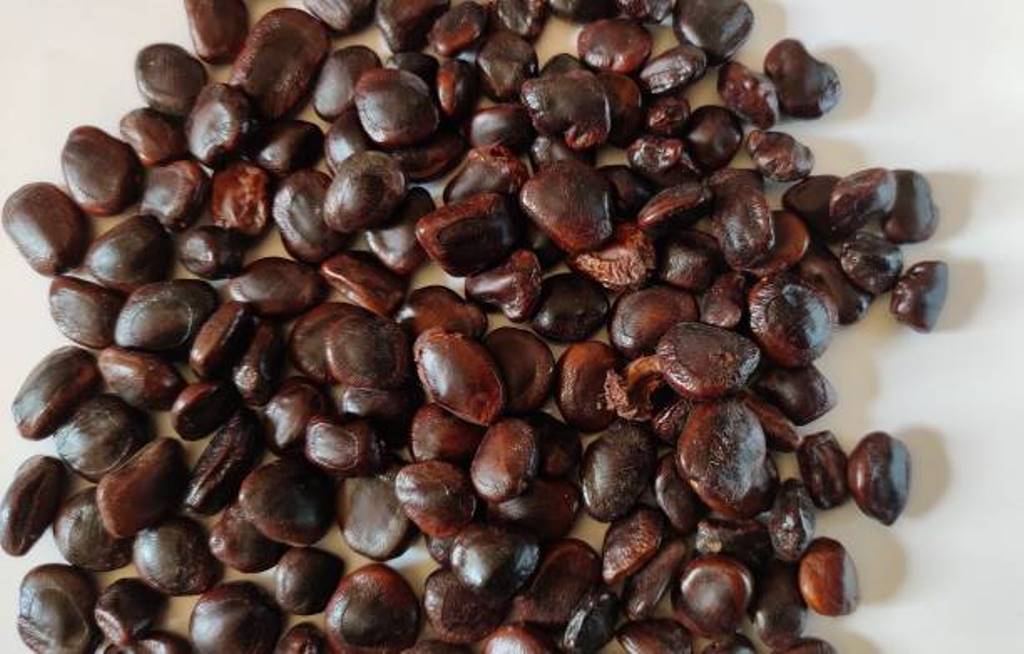 Health benefits of tamarind seeds