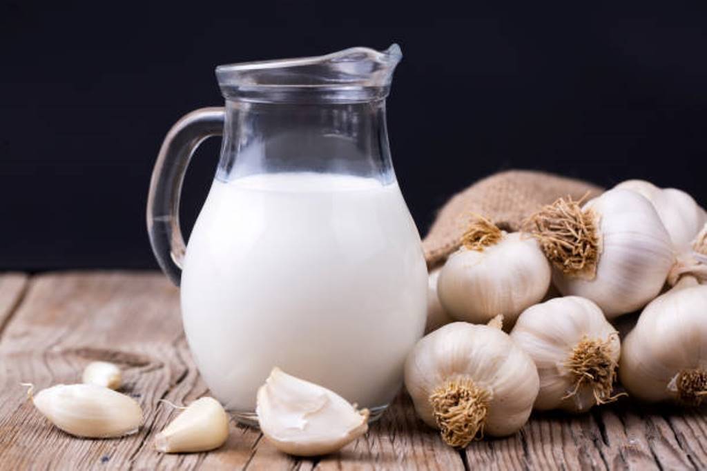 Eat milk and garlic together; From skin to immunity, the benefits are many