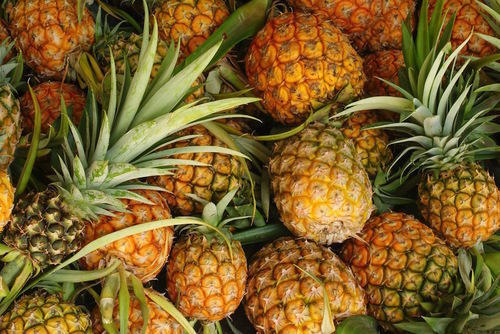 pineapple fruit