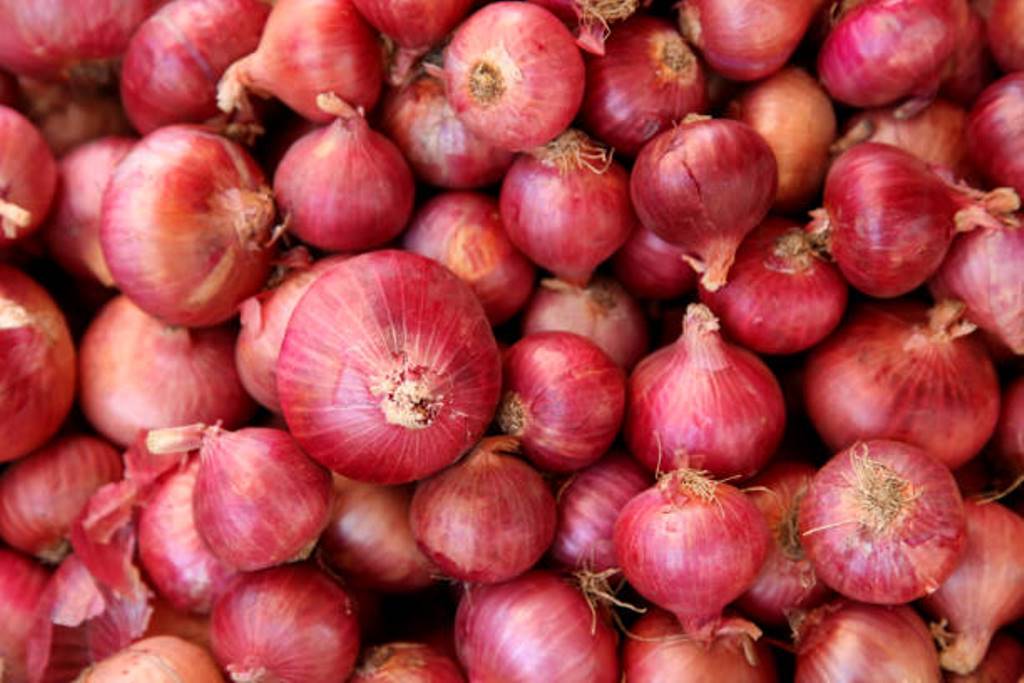 Onion subsidy to reduce price hike; 25 rupees per kg!!!