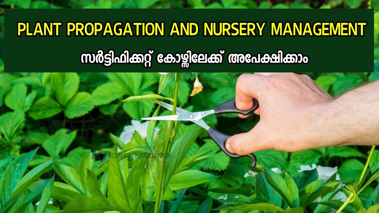 Plant Propagation and Nursery Management: സർട്ടിഫിക്കറ്റ് കോഴ്സിലേക്ക് അപേക്ഷിക്കാം