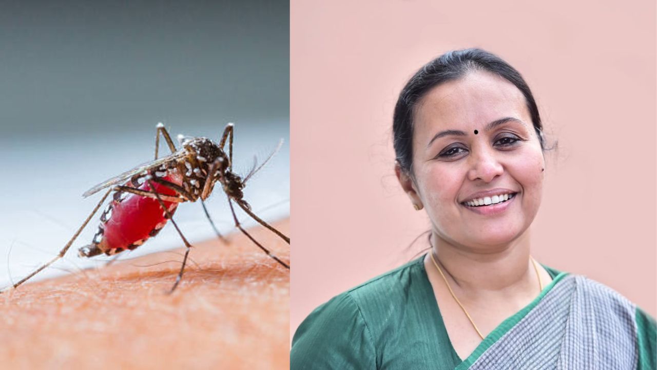 Intermittent rain can cause dengue fever; Need to be careful: Health Minister