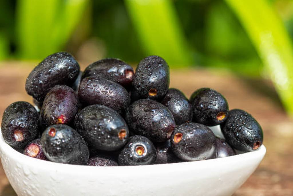 Health benefits of jamun fruit