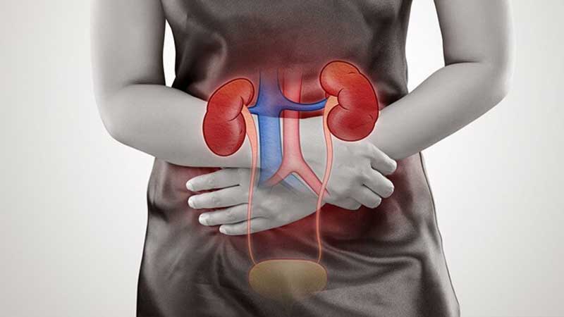 About the rare disease Membranous Nephropathy...