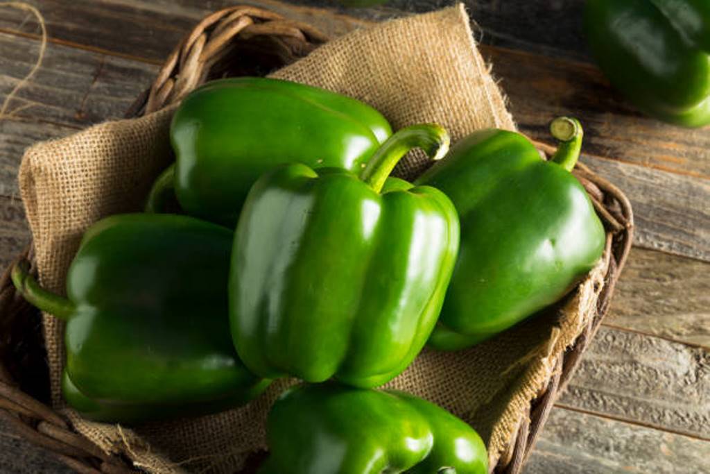Now you can easily grow capsicum for home