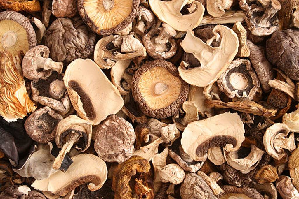 May increase immunity along with weight loss; By eating mushrooms