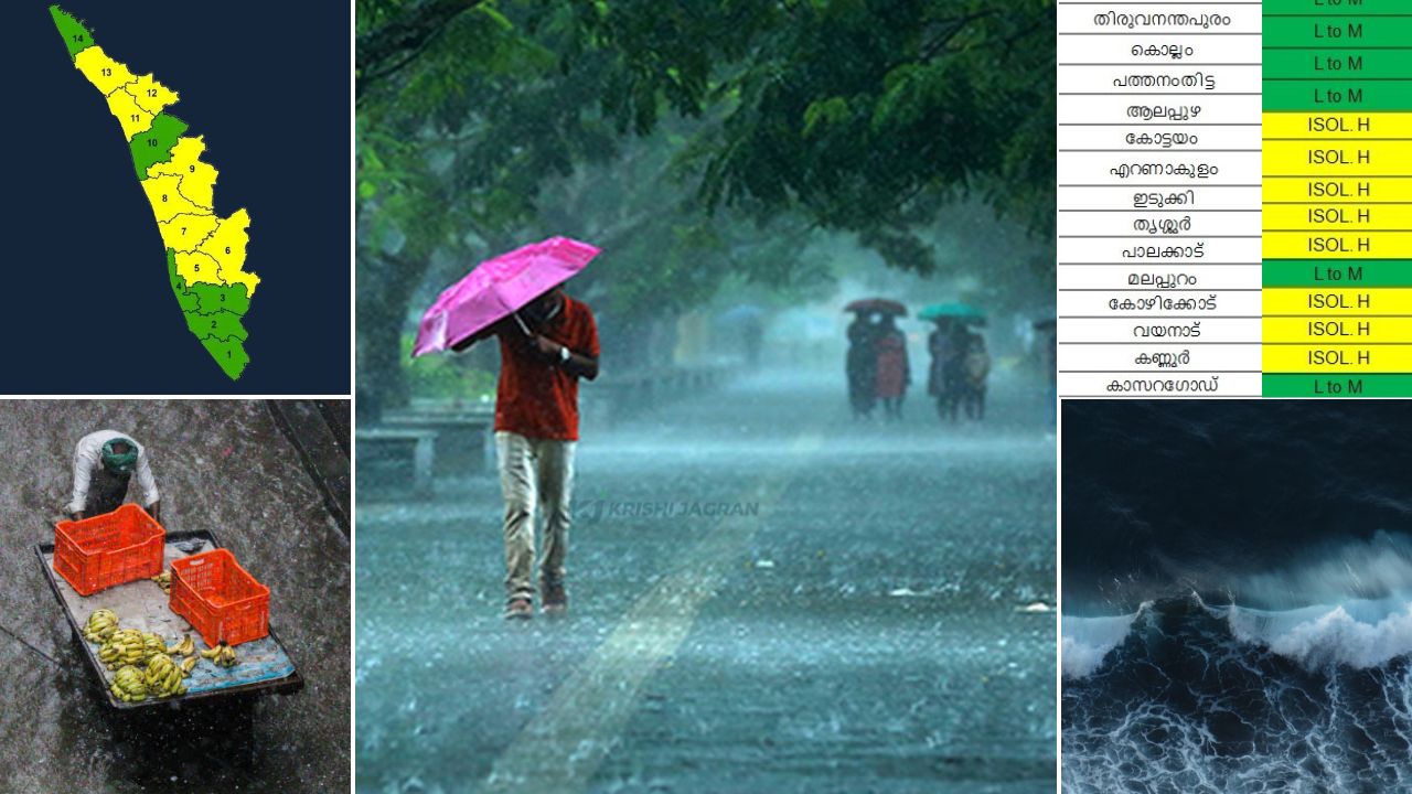 Kerala Rain: 2 ചക്രവാതച്ചുഴികൾ; കേരളത്തിൽ 8 ജില്ലകളിൽ യെല്ലോ അലർട്ട്