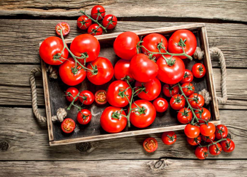 Constant presence in the kitchen; Health benefits of tomatoes
