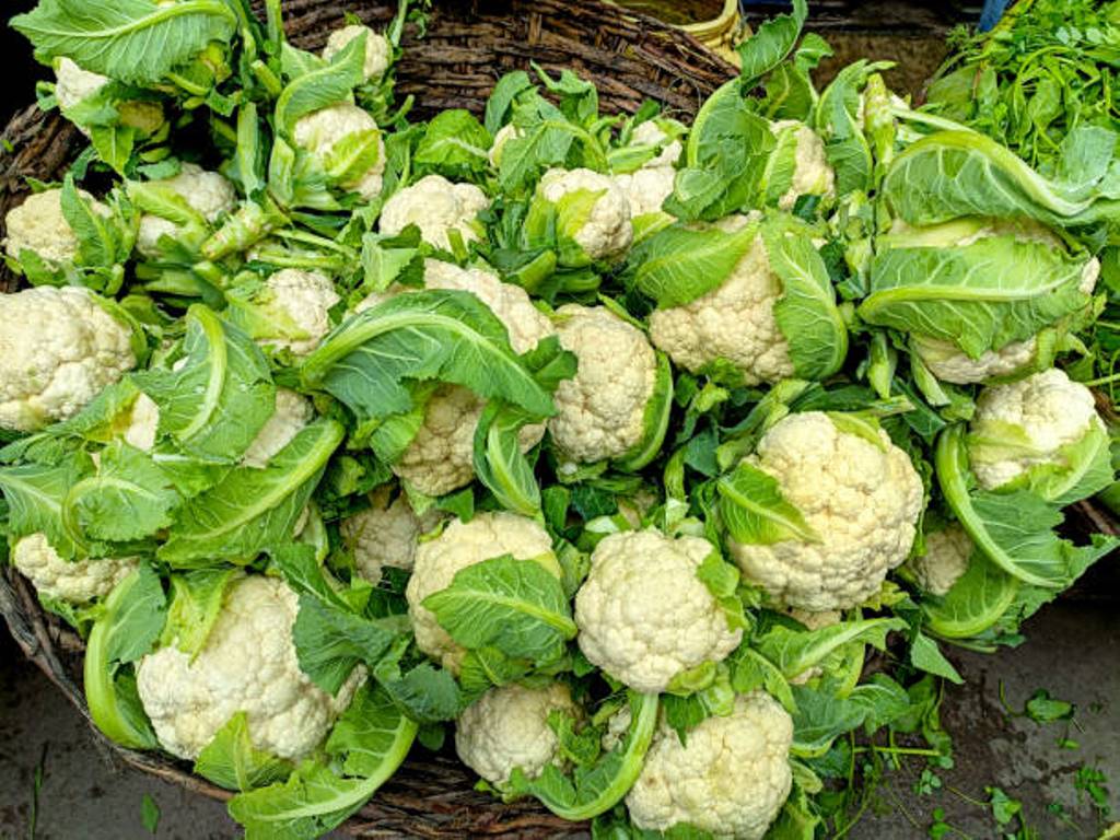 Let's start growing cauliflower; Good care can double the yield