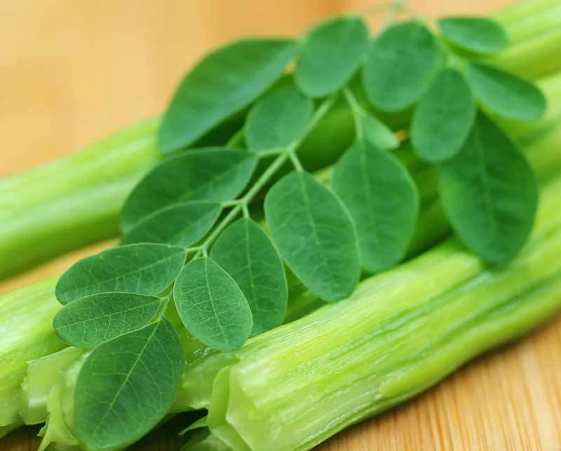 Eating Moringa leaves everyday can prevent these diseases