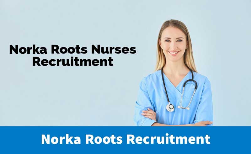 NORKA Roots Nurses Recruitment 2023: Job opportunities in Canada and Saudi