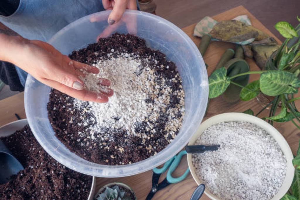 Potting mix for healthy plants can be prepared at home