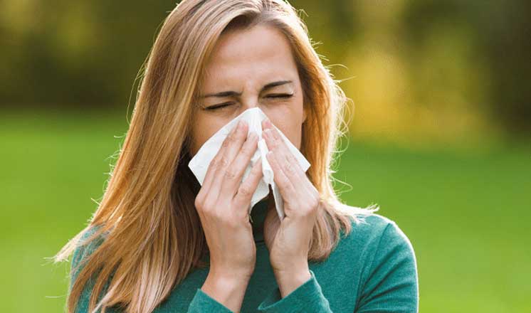 Things that allergy sufferers should to take care of