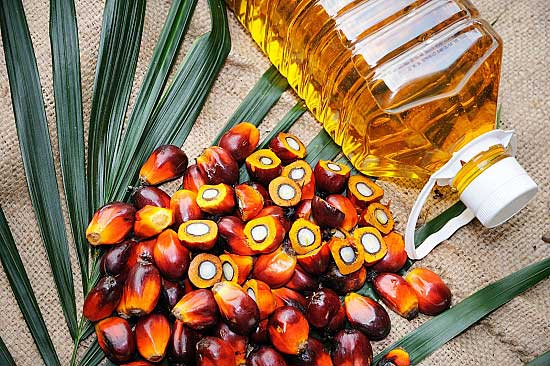 Is palm oil good for health or not?