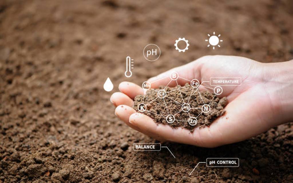 World Soil Day: One third of the soil is destroyed!