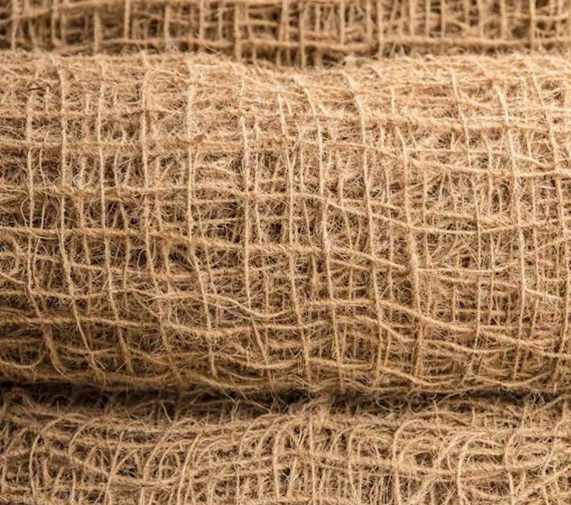 Challenges faced by the coir industry and solutions: Seminar today