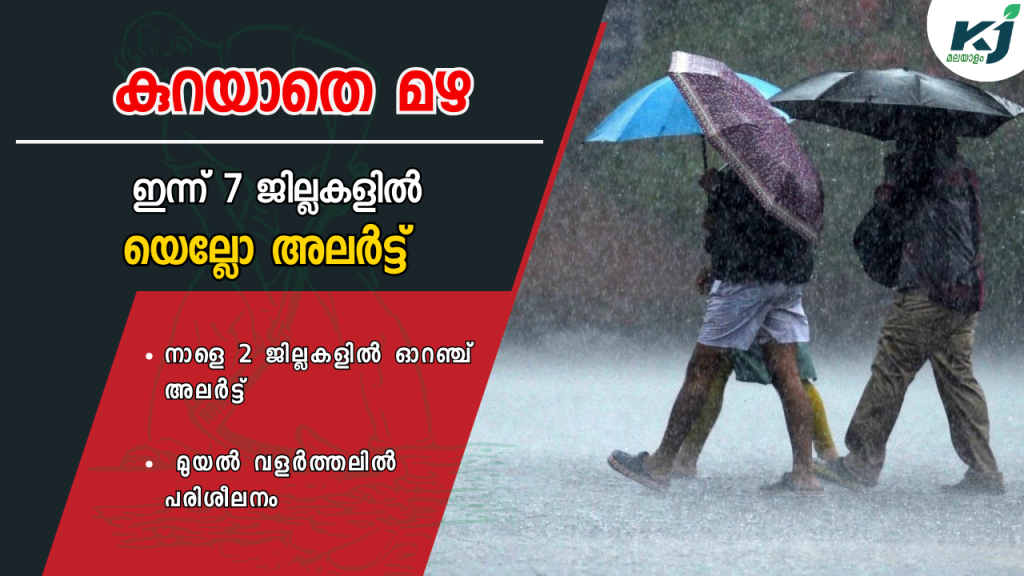 Heavy rains in Kerala; Yellow alert in 7 districts today