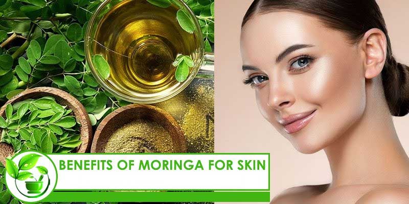 Make your face smooth and glowing with these moringa leaf face packs