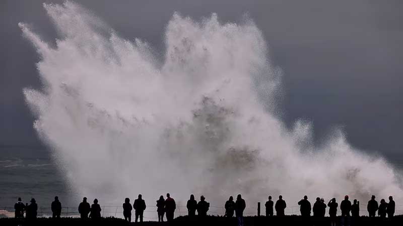 Weather Report: Chance of high waves and storm surge in Kerala coast today