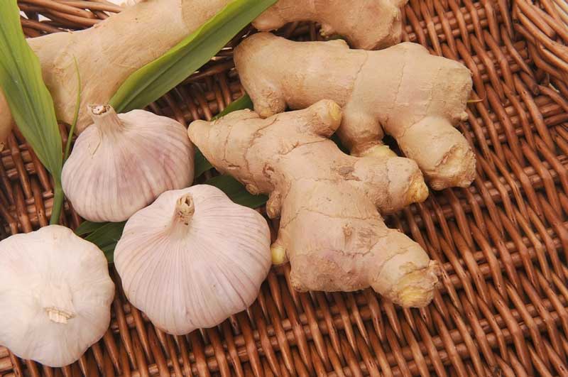 How to store Ginger and Garlic fresh without spoiling