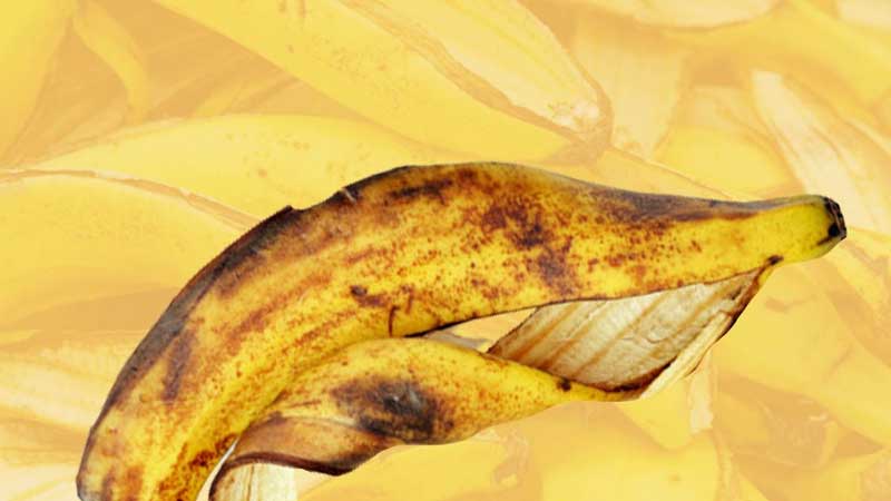 The peel of banana can make the teeth shine