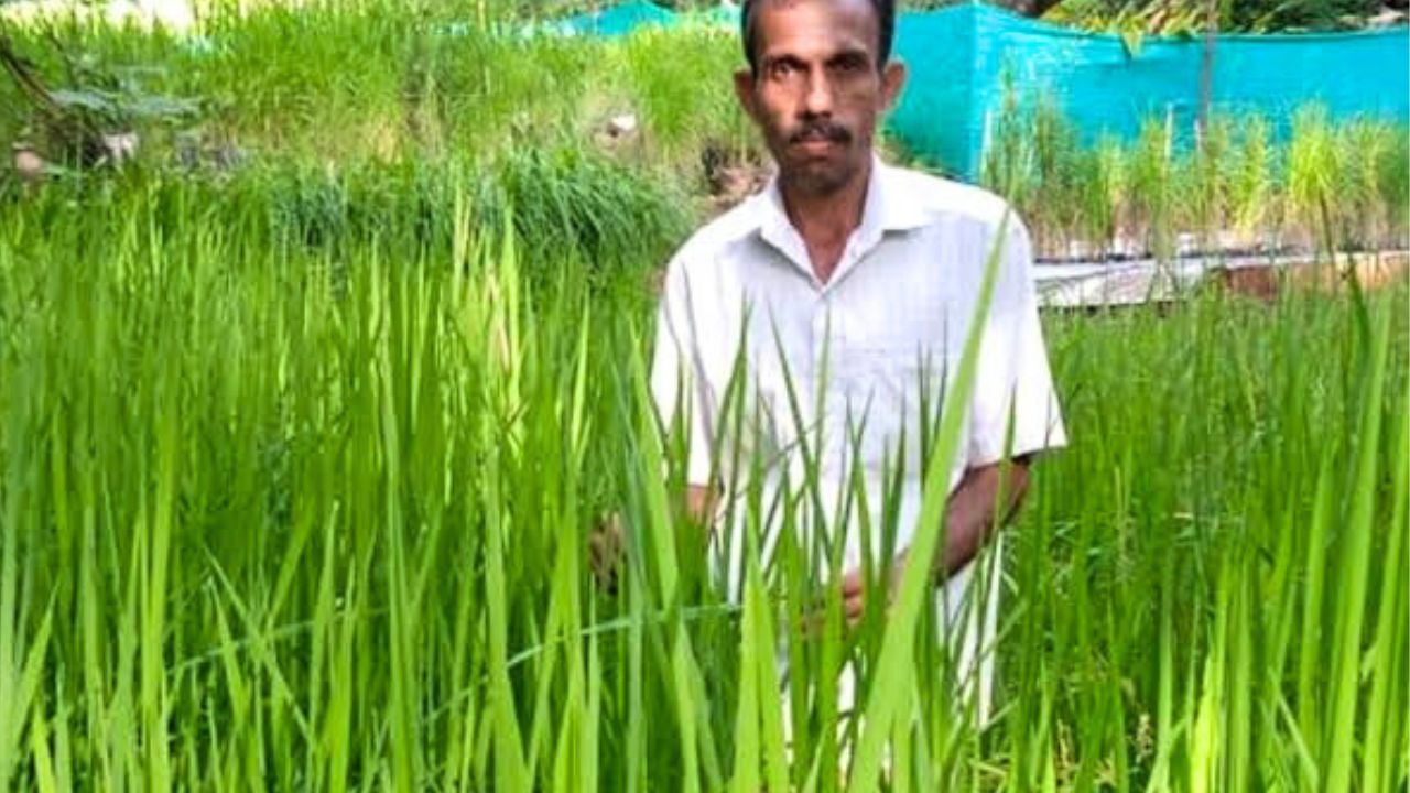 നീണ്ട 15 വർഷം; അപൂർവയിനം നെൽവിത്തുകളുടെ സംരക്ഷകൻ; പത്മശ്രീ പുരസ്കാര നിറവിൽ കാസർകോട്ടെ കർഷകൻ