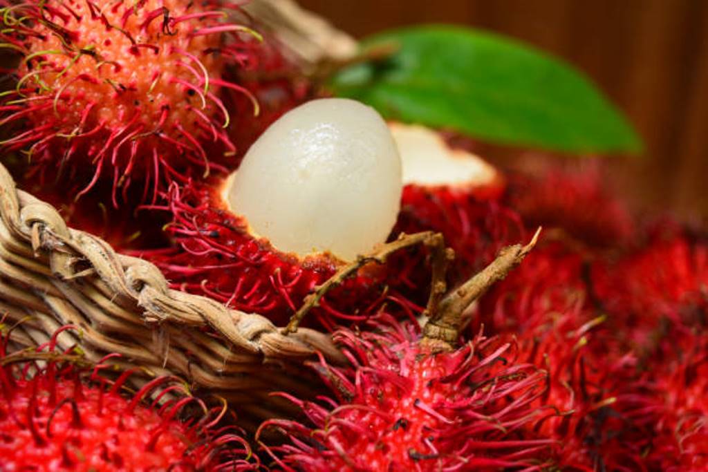 Rambutan is easy to grow at home; need to know these things