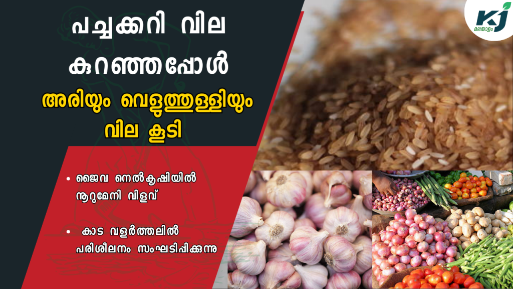 Vegetable prices have fallen; Price of rice and garlic increased