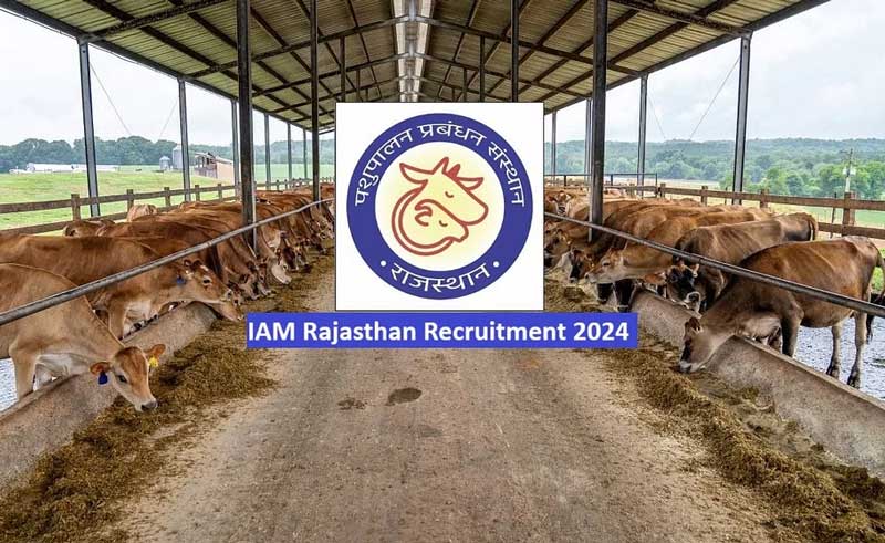 IAM Rajasthan Recruitment 2024: Apply for 3090 vacancies
