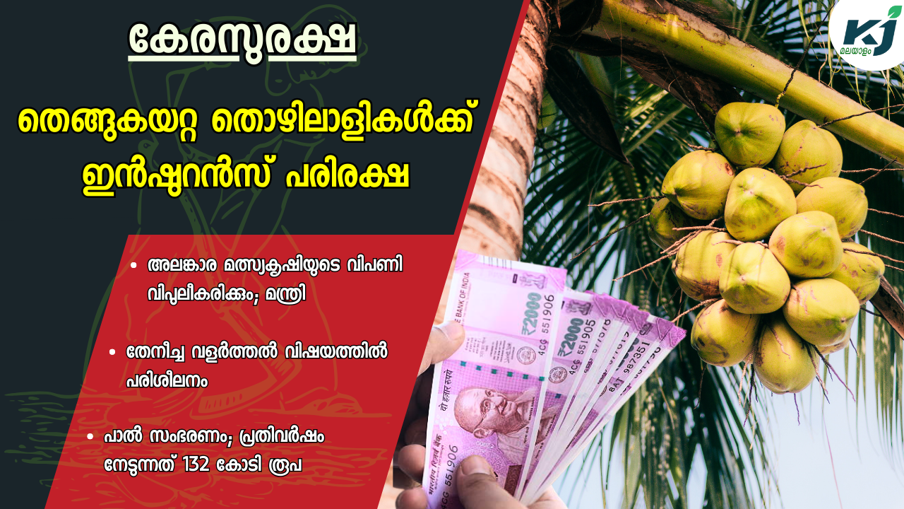 തെങ്ങുകയറ്റ തൊഴിലാളികൾക്ക് ഇൻഷുറൻസ് പരിരക്ഷ; ഉടൻ അപേക്ഷിക്കാം