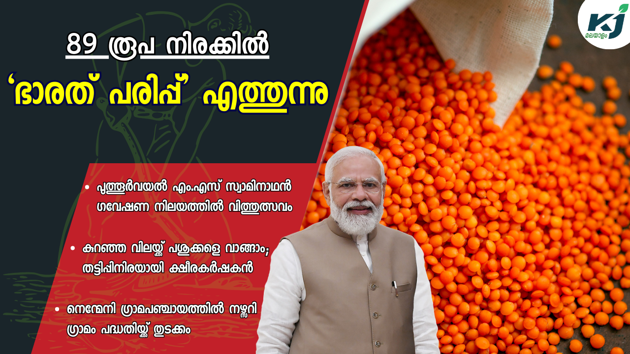 ഭാരത് അരിയ്ക്കും ആട്ടയ്ക്കും പിന്നാലെ 'ഭാരത് പരിപ്പും' വിപണിയിലേക്ക്!!