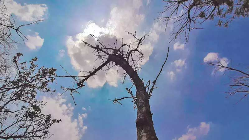 Hot and humid weather likely in Kerala; Central Meteorological Department
