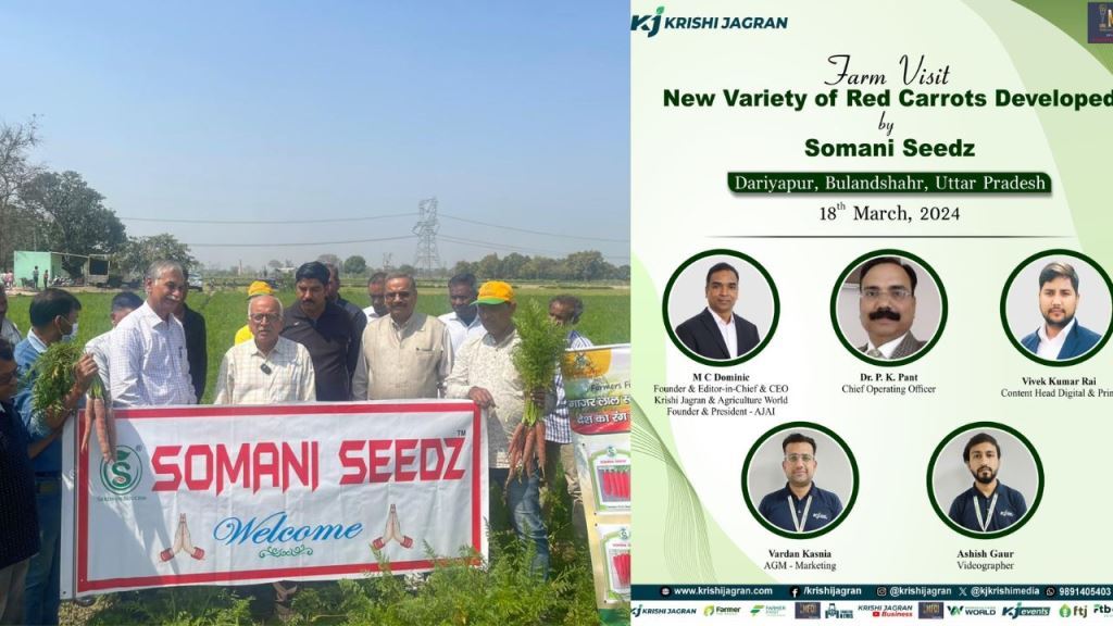 news variety of red carrot's developed by Somani Seedz: Expectation of increase in income of farmers